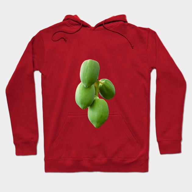 Ripening Mangoes Hoodie by dalyndigaital2@gmail.com